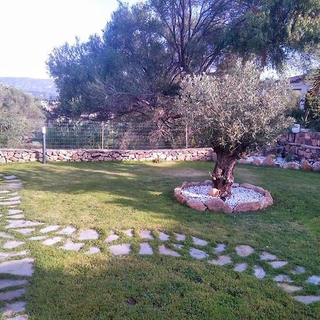 Villetta Cala D'Ambra San Teodoro  Zewnętrze zdjęcie