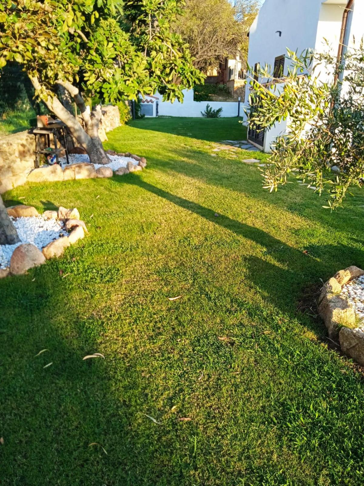 Villetta Cala D'Ambra San Teodoro  Zewnętrze zdjęcie